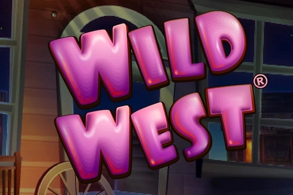 13232 wild west