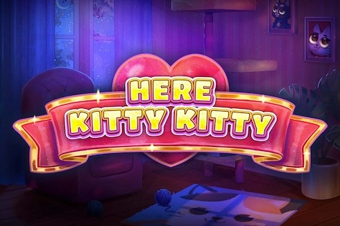 19424 here kitty kitty