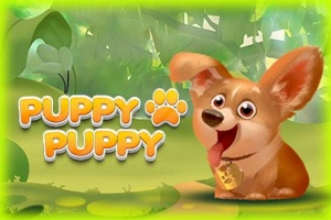 24750 puppy puppy
